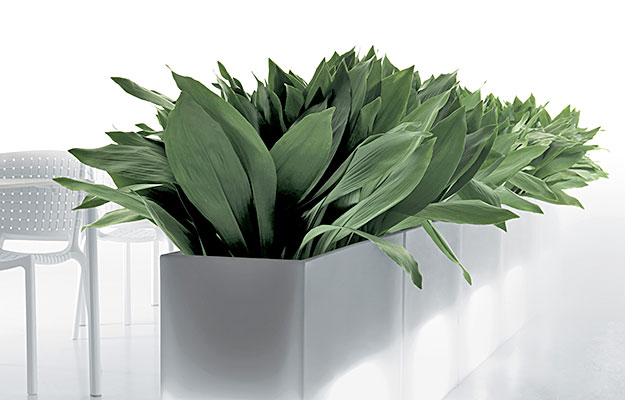 Planter og utemøbler fra Sitting Scandinavia